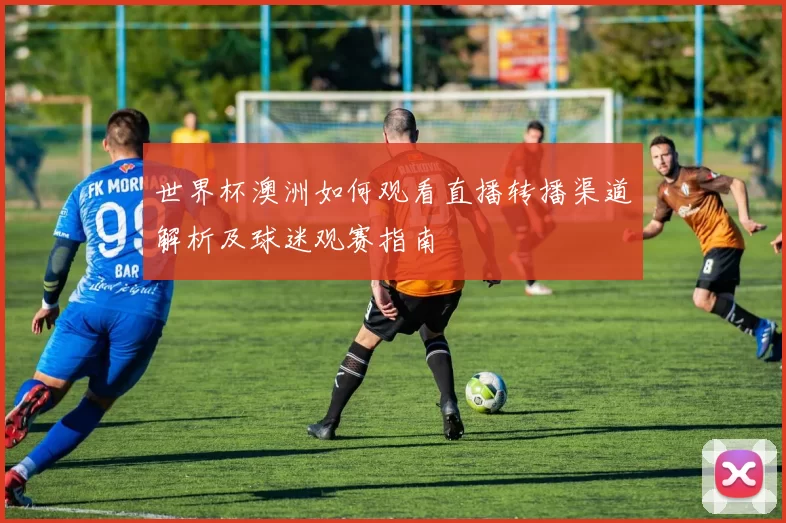 世界杯澳洲如何观看直播转播渠道解析及球迷观赛指南