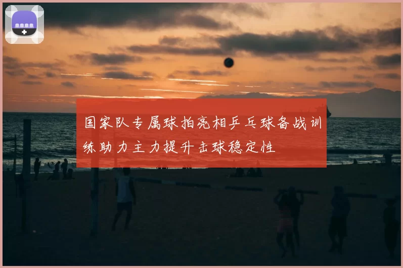 国家队专属球拍亮相乒乓球备战训练助力主力提升击球稳定性