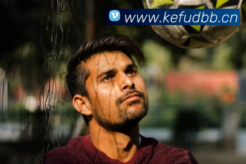 ng28.66下载苹果(中国)官方入口平台生态图